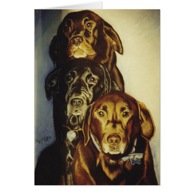 "3 Labradors" (Voorkant)