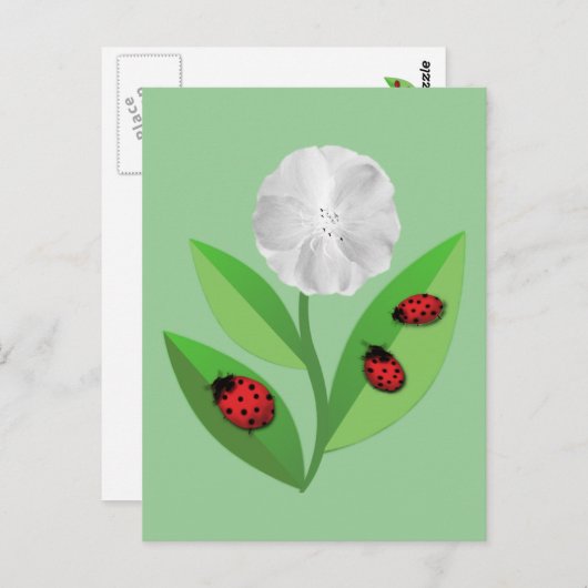 3 Ladybugs Briefkaart (Voorkant / Achterkant)