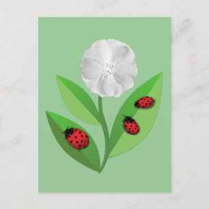 3 Ladybugs Briefkaart