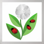 3 Ladybugs Poster (Voorkant)