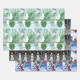 3 Leuke wintervakantie thema Inpakpapier Vel