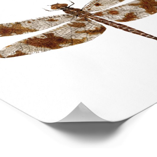 3 libellen op Canvas Poster (Hoek)
