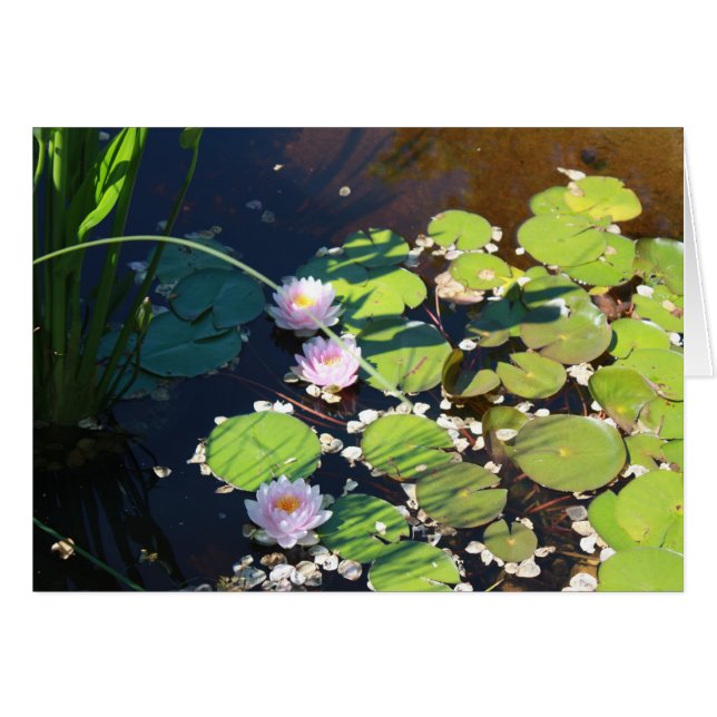 3 Lilies (Voorkant Horizontaal)