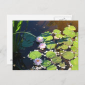 3 Lilies Briefkaart (Voorkant / Achterkant)