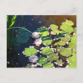 3 Lilies Briefkaart (Voorkant)