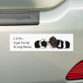 3 long haired piggies bumper sticker (Op auto)
