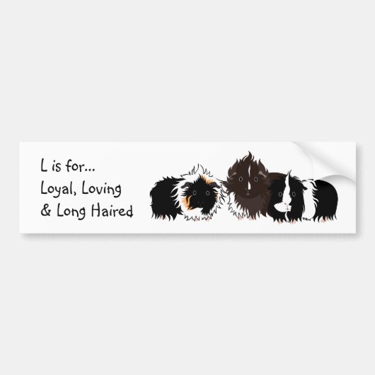 3 long haired piggies bumper sticker (Voorkant)