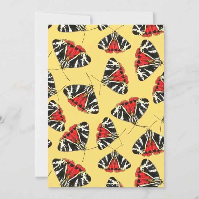 3 maanden (Voorkant)