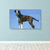 3 maanden oude BOXER Puppy Canvas Afdruk (Insitu (Houten vloer))