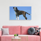 3 maanden oude BOXER Puppy Canvas Afdruk (Insitu (Woonkamer))