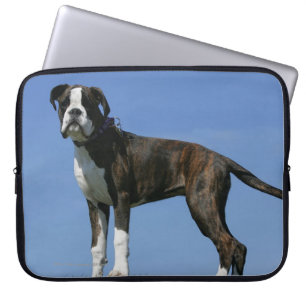 3 maanden oude BOXER Puppy Laptop Sleeve