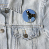 3 maanden oude BOXER Puppy Ronde Button 5,7 Cm (In situ)