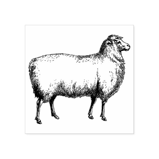 3 maten rubber stempel antiek afbeelding Schaap (Afrduk)