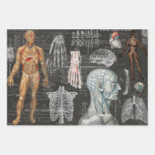 3 Medische lichaamsdelen Halloween Collage Ephemer Inpakpapier Vel (Voorkant)