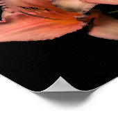 3 meisjes poster (Hoek)