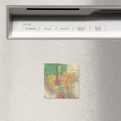 3 Mexico Magneet (Insitu (Vaatwasser))