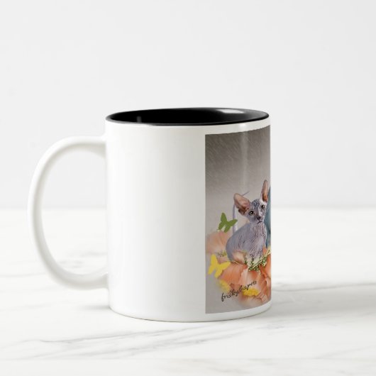 3 Mok van sphynx kittens (Links)