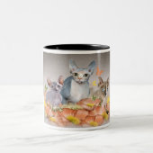 3 Mok van sphynx kittens (Center)