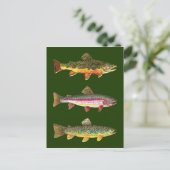 3 Mooie forel - Brook, regenboog, bruin Briefkaart (Staand voorkant)