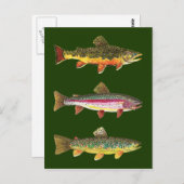3 Mooie forel - Brook, regenboog, bruin Briefkaart (Voorkant / Achterkant)
