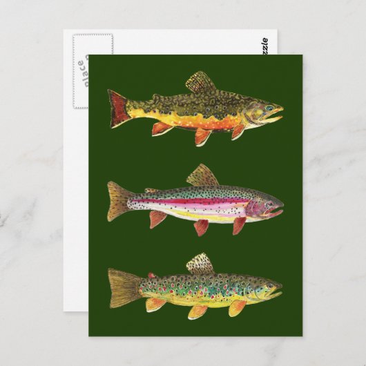 3 Mooie forel - Brook, regenboog, bruin Briefkaart (Voorkant / Achterkant)