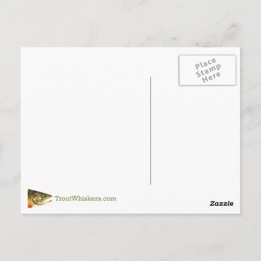 3 Mooie forel - Brook, regenboog, bruin Briefkaart (Achterkant)