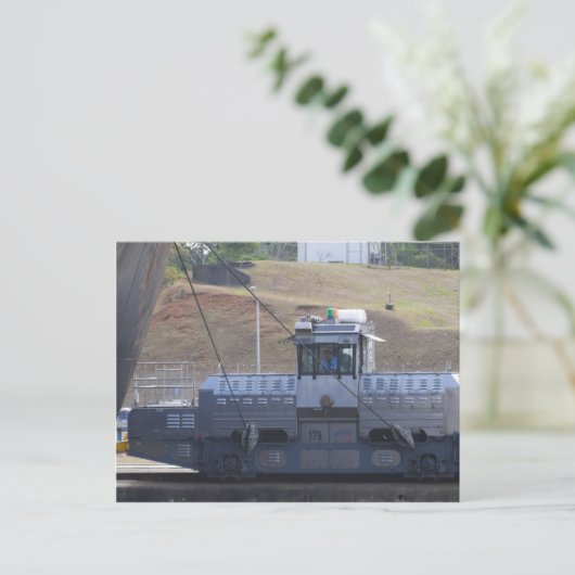 3 mule. briefkaart (Staand voorkant)