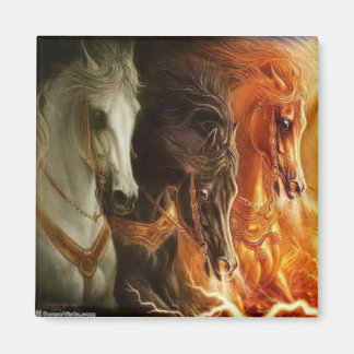 3 paarden magneet