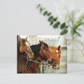 3 Paardenhoofden Briefkaart (Staand voorkant)