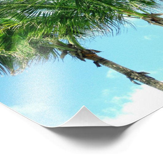 3 palmbomen foto afdruk (Hoek)