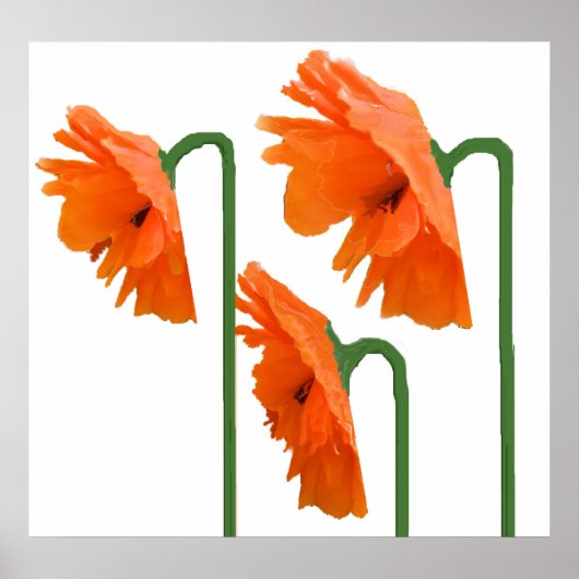 3 papaver poster (Voorkant)