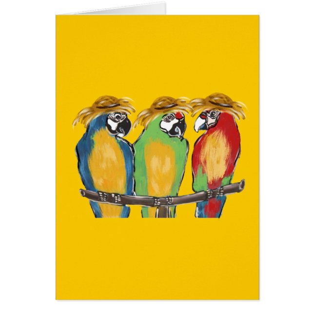 3 Papegaaien (Voorkant)