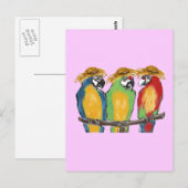 3 Papegaaien Briefkaart (Voorkant / Achterkant)