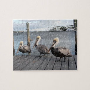 3 Pelicans in a row Legpuzzel