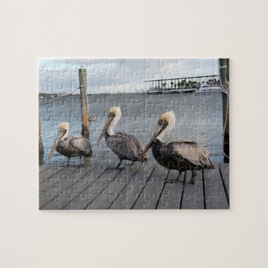 3 Pelikanen op rij Legpuzzel (Horizontaal)