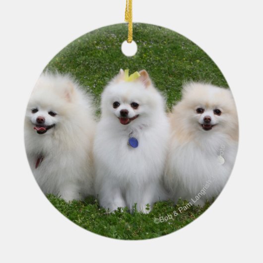 3 Pommeren Zitten Keramisch Ornament (Achterkant)