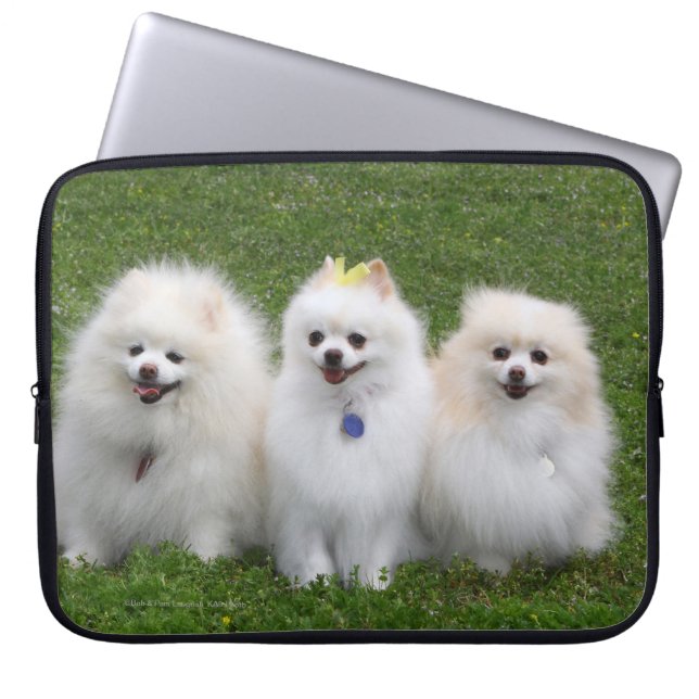 3 Pommeren Zitten Laptop Sleeve (Voorkant)
