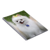 3 Pommeren Zitten Notitieboek (Rechterzijde)