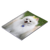 3 Pommeren Zitten Notitieboek (Linkerzijde)