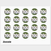 3 Pommeren Zitten Ronde Sticker (Vel)