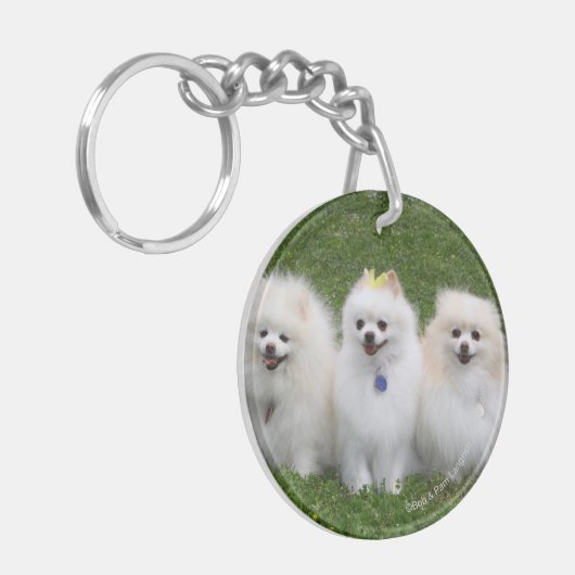 3 Pommeren Zitten Sleutelhanger (Voorkant Links)