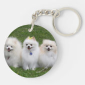 3 Pommeren Zitten Sleutelhanger (Achterkant)