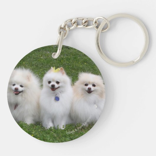 3 Pommeren Zitten Sleutelhanger (Achterkant)