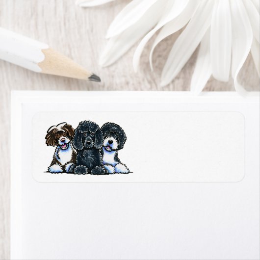 3 Portugese waterhonden Etiket (Insitu)