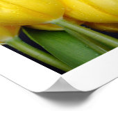 3 Poster voor Tulpen van kleuren (Hoek)