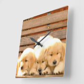 3 Puppies klok (Hoek)