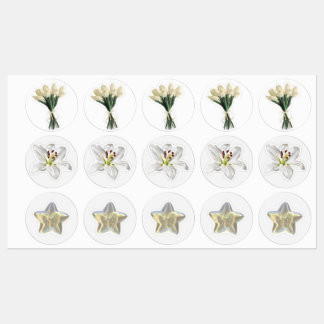 3 RIJ WITTE STICKERS