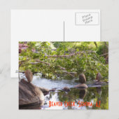 3 rocks_green briefkaart (Voorkant / Achterkant)