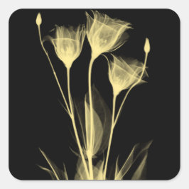 3 Röntgenbloemen Wijnlabel Vierkante Sticker