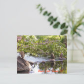 3 rotsen_groen briefkaart (Staand voorkant)